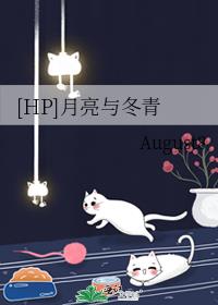 [HP]月亮与冬青